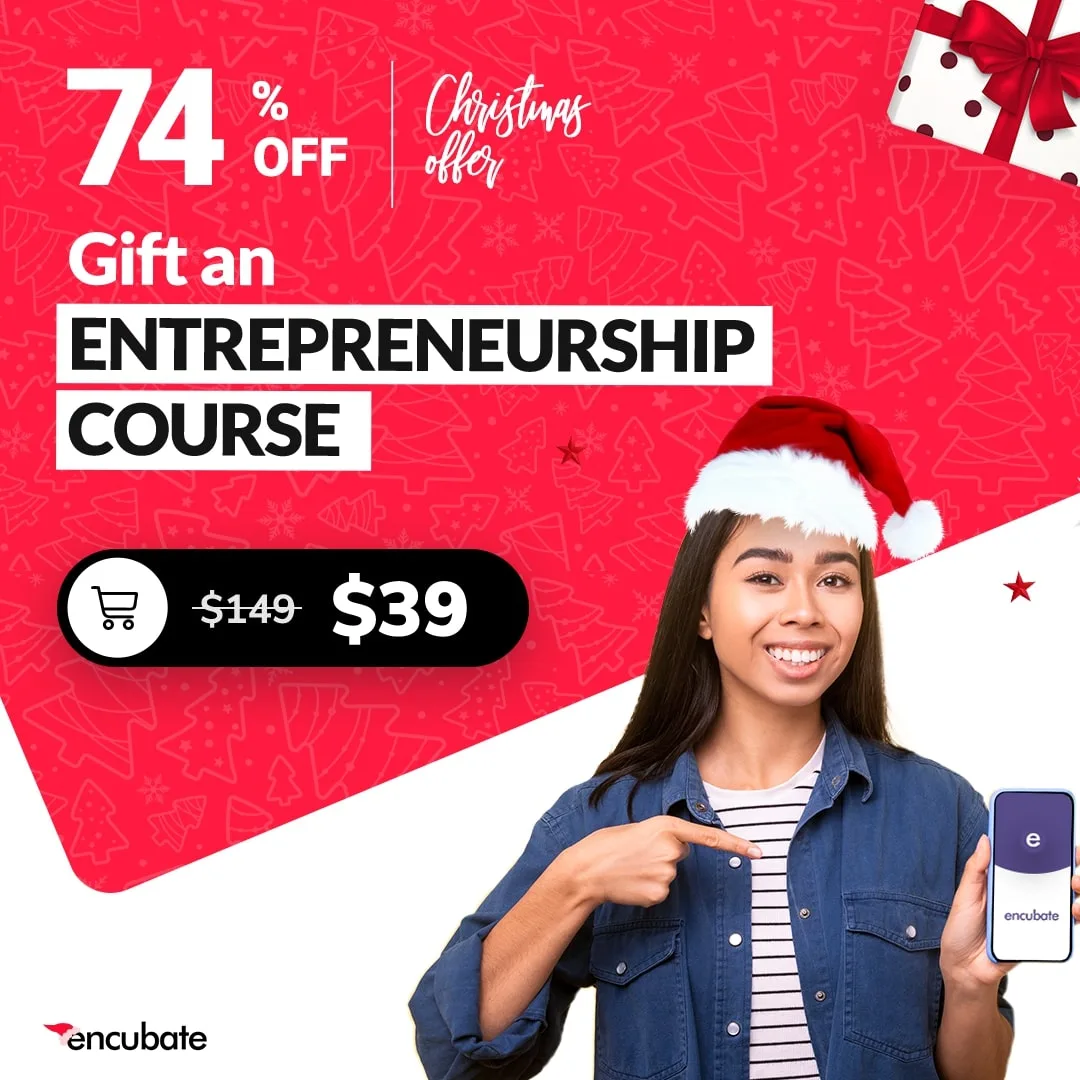 Christmas "gift an entrepreneurship course" social ad.